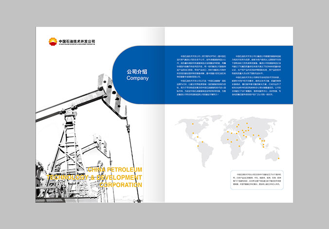 中国石油技术开发公司