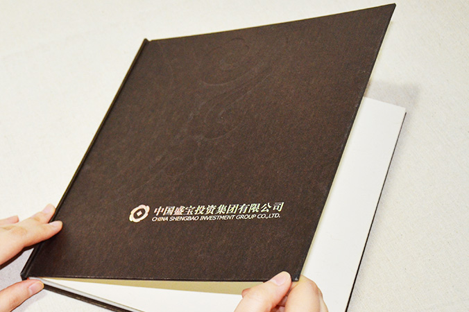 中国盛宝投资集团 画册设计 宣传册设计 北京彩页设计 logo设计 商标设计 标志设计 企业logo设计 VI设计 VI设计公司 品牌设计 品牌设计公司