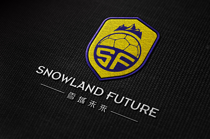 雪域未来 logo设计 公司logo设计 企业标志设计