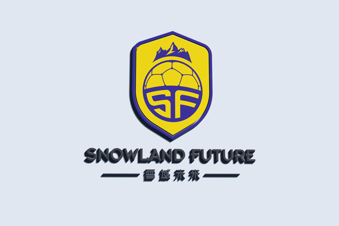 雪域未来 logo设计 公司logo设计 企业标志设计