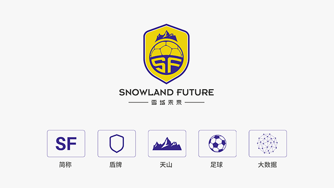 雪域未来 logo设计 公司logo设计 企业标志设计