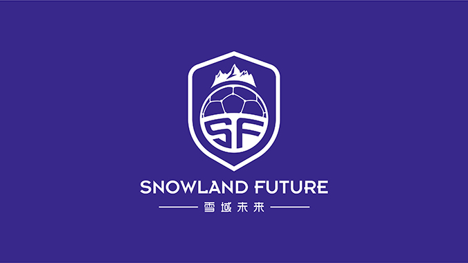 雪域未来 logo设计 公司logo设计 企业标志设计